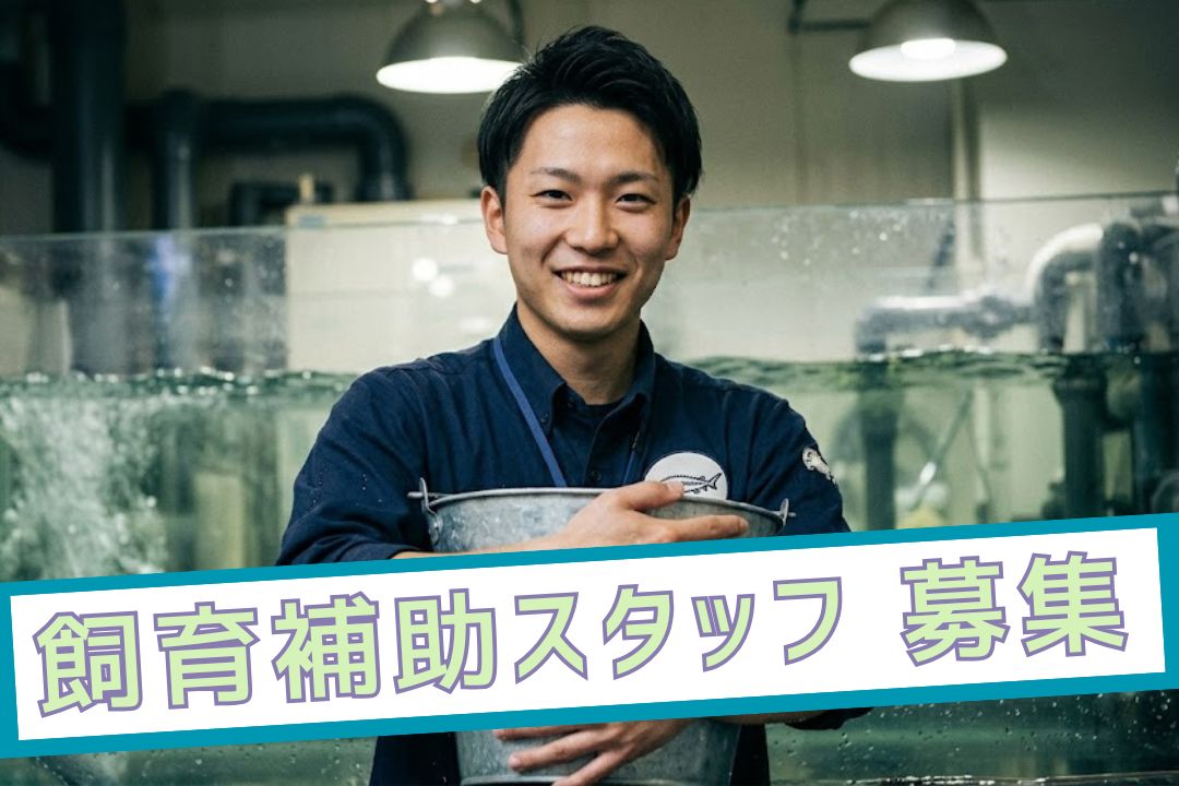【レア求人★急募】チョウザメの飼育補助！未経験OK×高時給1430円で楽しく稼ぐ♪