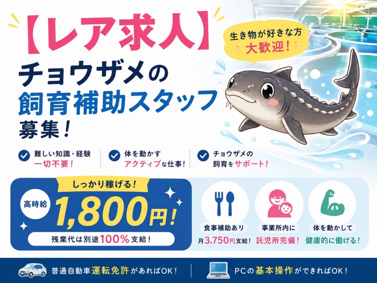 【レア求人★急募】チョウザメの飼育補助！未経験OK×高時給1800円で楽しく稼ぐ♪